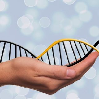 Medicine eBooks Online : Genetics and Biochemistry