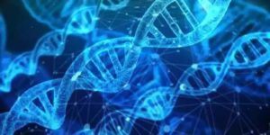 Best Free Biology Books pixbay under cc