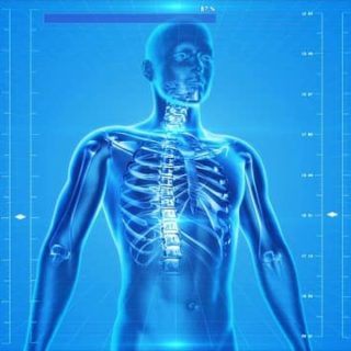anatomy and physiology Books