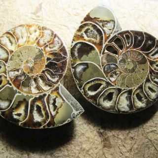 Earth Science books Online