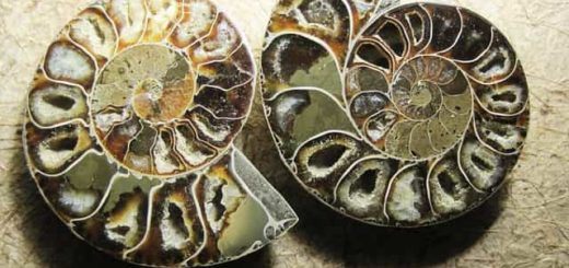 Earth Science books Online