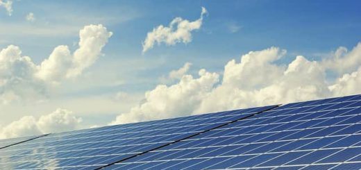 Free Online Courses : Environment and Natural Resources under cc pixbay.com