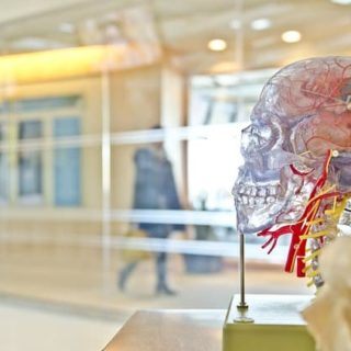 Medicine eBooks Online : Neurology and Psychiatry under cc pixbay