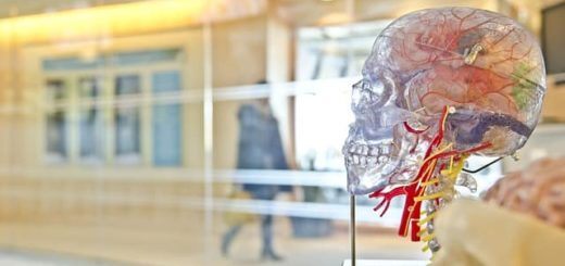 Medicine eBooks Online : Neurology and Psychiatry under cc pixbay