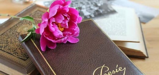 Free Audio Books : Poetry pixbay.com under CC