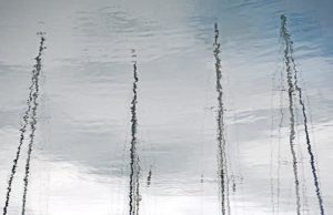 wavelet transform Books