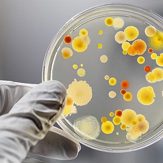 how-to-study-biology