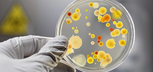 how-to-study-biology