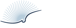 Top Free Books