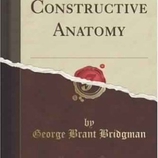 Constructive Anatomy