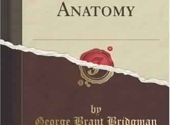 Constructive Anatomy