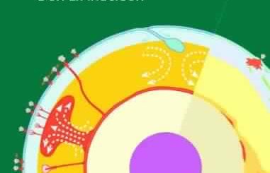 New Theory of the Earth, 2nd Edition