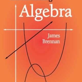 Understanding Algebra