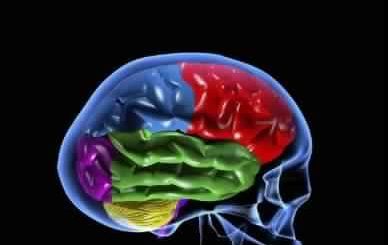 The Psychology of Emotions, Feelings and Thoughts