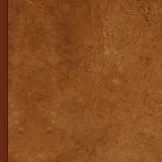 Acoustics And Architecture