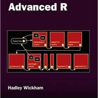 Advanced R programming by Hadley Wickham