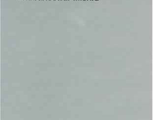 Algorithmic Algebra by Bhubaneswar Mishra