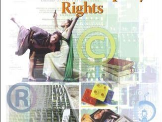 Intellectual Property Rights by Thomas G. Field Jr. et al.