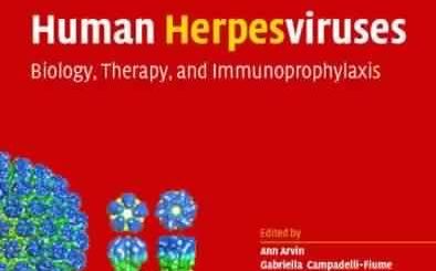 Human Herpesviruses: Biology, Therapy, and Immunoprophylaxis