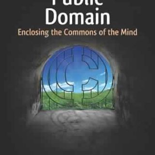 The Public Domain: Enclosing the Commons of the Mind by James Boyle