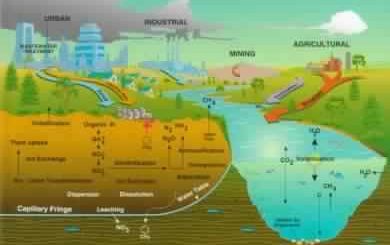 Unsaturated Zone Hydrology for Scientists and Engineers