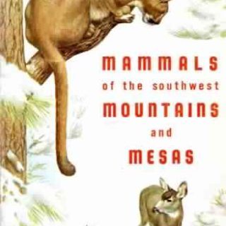 Mammals of the Southwest Mountains and Mesas by George Joyce Olin