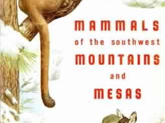 Mammals of the Southwest Mountains and Mesas by George Joyce Olin