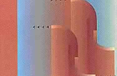 The New Software Engineering by Sue Conger