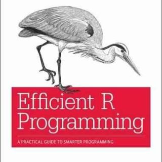 Efficient R Programming