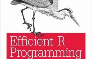 Efficient R Programming
