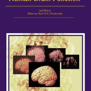 Human Brain Function