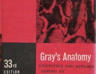 Anatomy: Descriptive and Applied by Henry Gray, Edward Spitzka
