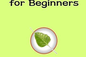 Bodhi Linux 3 for Beginners