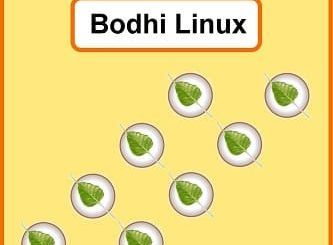 Step-by-Step Guide to Bodhi Linux
