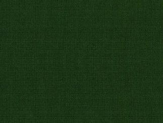 Differential Equations From The Algebraic Standpoint by Joseph Fels Ritt