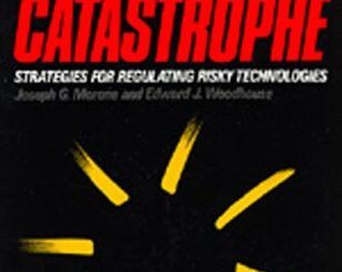 Averting Catastrophe: Strategies for Regulating Risky Technologies