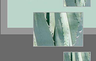 Nuclear Physics by J. Pearson