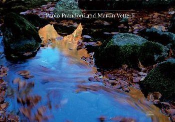 Signal Processing for Communications by Paolo Prandoni, Martin Vetterli