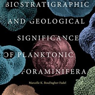 Biostratigraphic and Geological Significance of Planktonic Foraminifera