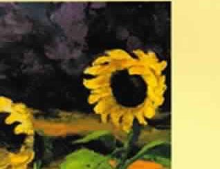 The Green Fuse: An Ecological Odyssey by John Harte