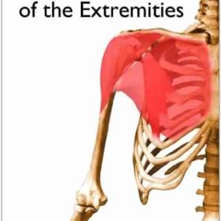 Muscle Atlas of the Extremities by Michael Richardson