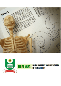 Basic Anatomy and Physiology of Human Body by A. O. Osunderu