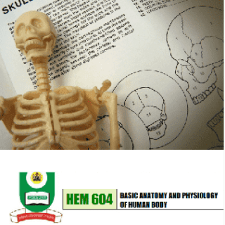 Basic Anatomy and Physiology of Human Body by A. O. Osunderu