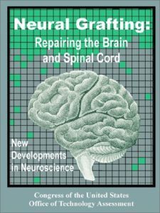 Neural Grafting: Repairing the Brain and Spinal Cord