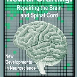 Neural Grafting: Repairing the Brain and Spinal Cord