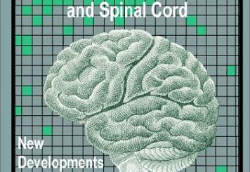 Neural Grafting: Repairing the Brain and Spinal Cord