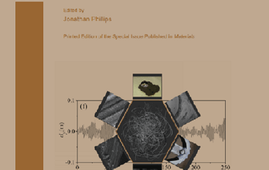Carbon Fibers by Jonathan Phillips (ed.)