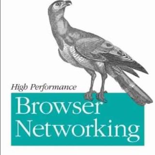 High Performance Browser Networking by Ilya Grigorik
