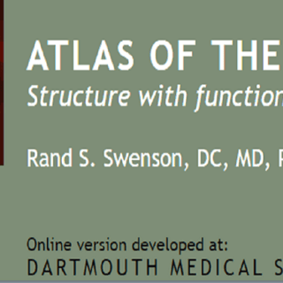 Atlas of the Brain by Rand S. Swenson