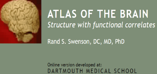 Atlas of the Brain by Rand S. Swenson
